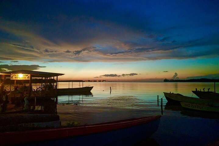 Luminous Lagoon Night Experience From Montego Bay - Image 1