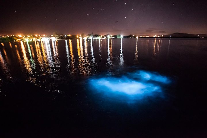 Luminous Lagoon Tour from Montego Bay - Image 1