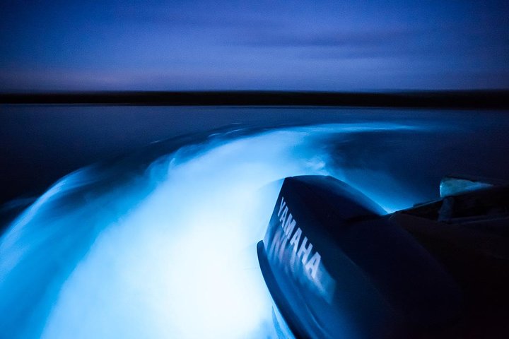 Luminous Lagoon Tour from Montego Bay - Image 2