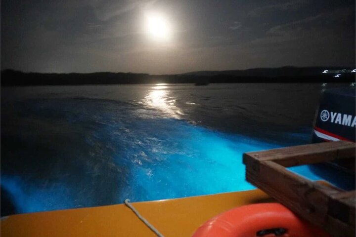 Luminous lagoons Private Nights Tours From Montego Bay  - Image 4