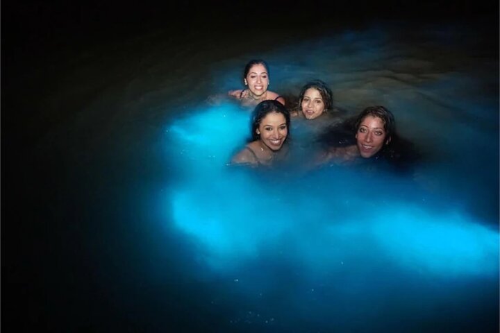 Luminous lagoons Private Nights Tours From Montego Bay  - Image 3