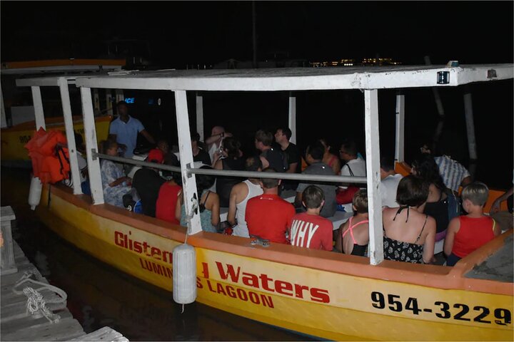 Luminous lagoons Private Nights Tours From Montego Bay  - Image 5