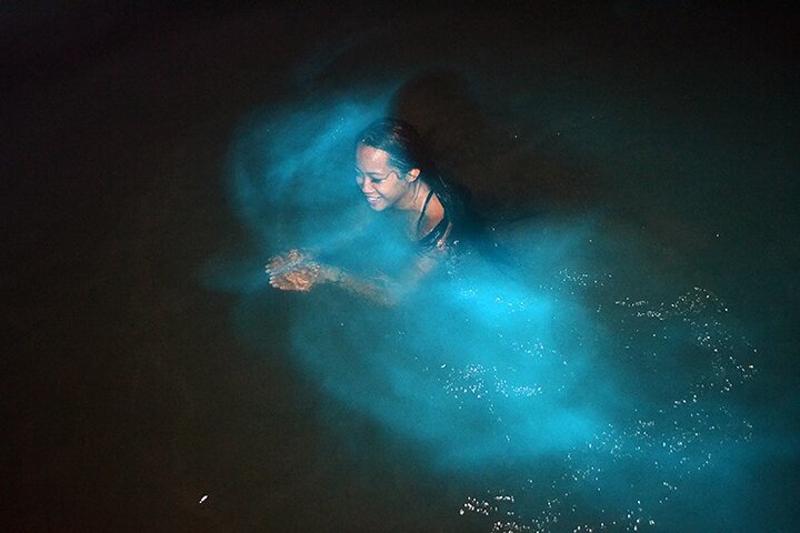 Luminous lagoons Private Nights Tours From Montego Bay  - Image 1