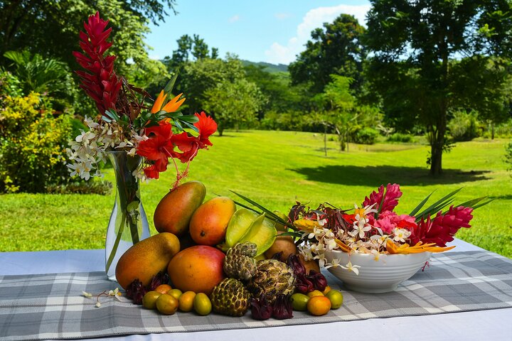 Luxury all inclusive culinary day trip in an off-road mountain park - Image 5