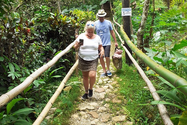 Mayfield Falls nature walk & Negril Hi-light Ricks Cafe - Image 5