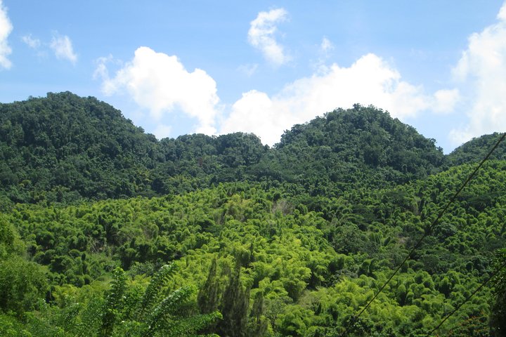 Mayfield Falls nature walk & Negril Hi-light Ricks Cafe - Image 4