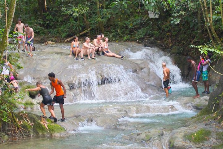 Mayfield Falls Private Tour - Image 1