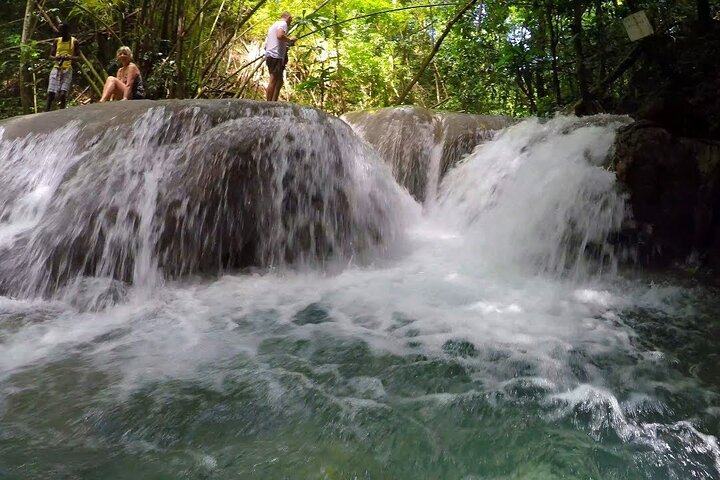 Mayfield Falls River Walk Private Tour - Image 3