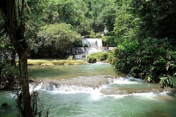 Mayfield Falls River Walk Private Tour - Image 2