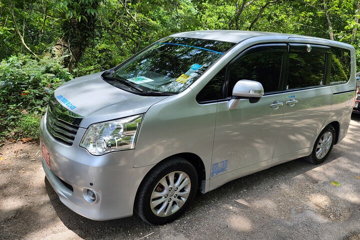 MBJ Airport Private Transfer to Hotels in the Montego Bay Area.  - Image 2