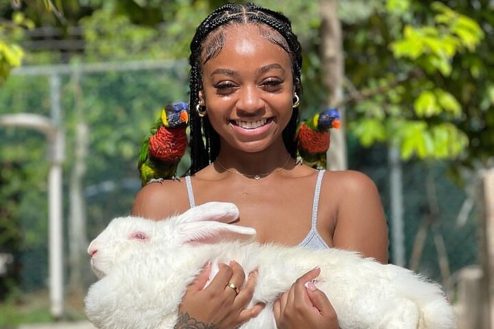 Montego Bay Exotic Birds, Herbs and Animals Agricultural Tour - Image 1