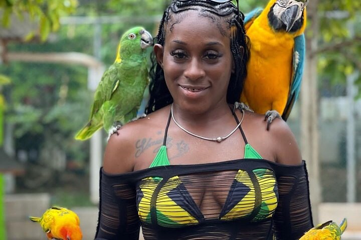 Montego Bay Exotic Birds, Herbs and Animals Agricultural Tour - Image 5