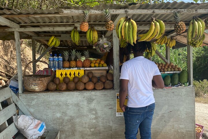 Montego Bay Highlight with Souvenir Shopping and Restaurant Stop - Image 2