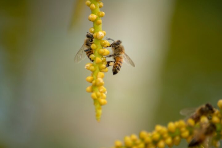 Montego Bay Photography Tour - Image 4