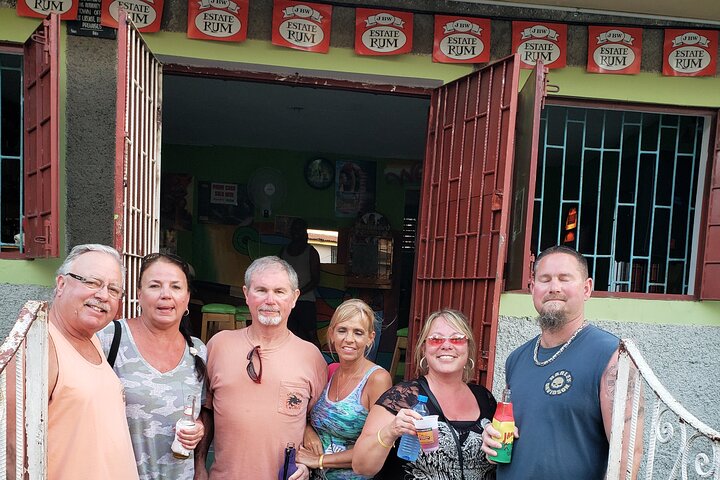 Montego Bay Private Highlights Tour with Pickup - Image 3