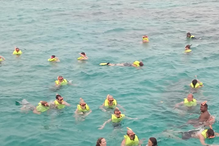 Montego Bay Shore Excursion: Private Snorkel Tour - Image 4