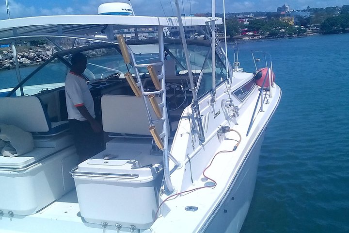 Montego Bay Shore Excursion: Private Snorkel Tour - Image 5