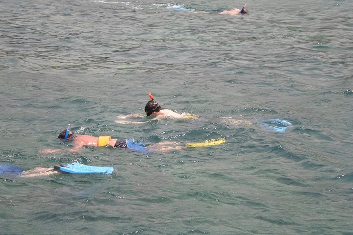 Montego Bay Shore Excursion: Private Snorkel Tour - Image 1