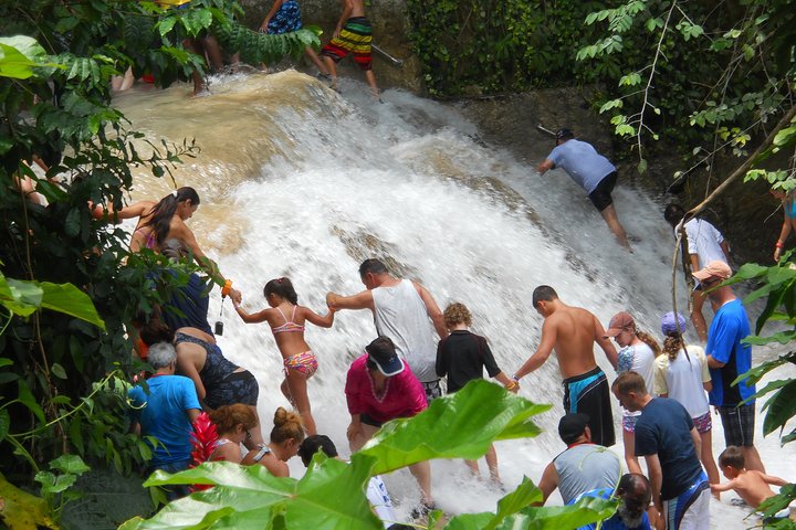 Montego Bay tour: Dunn's River Falls - Image 4