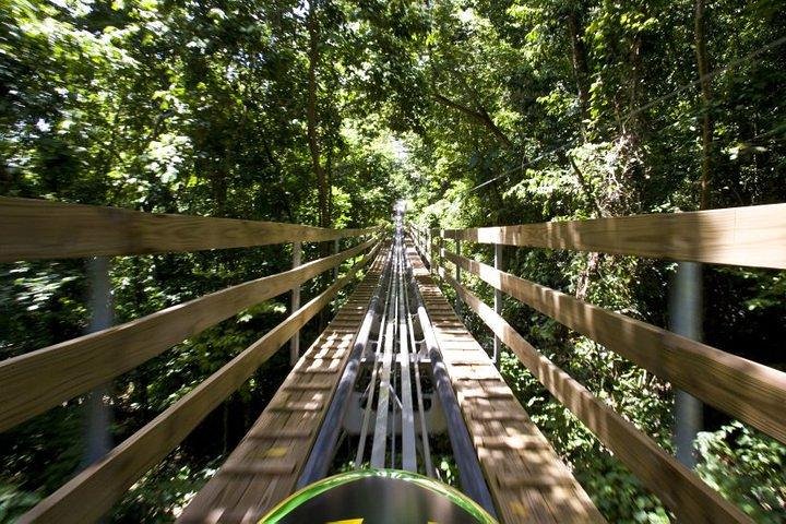 Mystic Mountain Jamaica Bobsled Tour (Mystic Silver) from Falmouth - Image 5