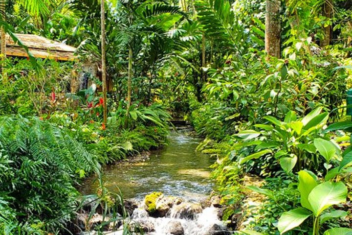 Mystic Mountain Zip-line Adventure / Konoko Falls and Tropical Garden Tour - Image 2