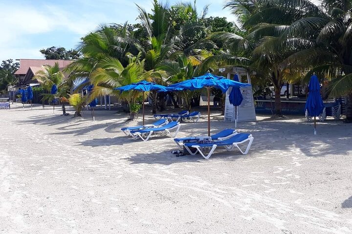 Negril 7 Miles Beach and Rick's Cafe Tour  - Image 1