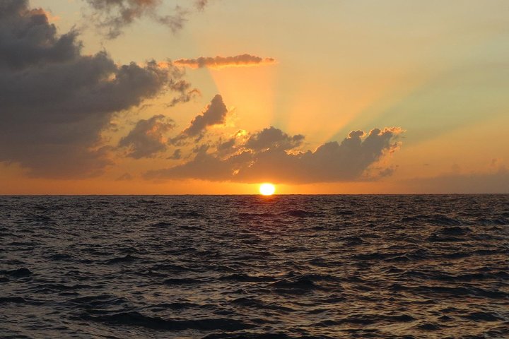 Negril Beach & Ricks Cafe from Montego Bay - Image 3