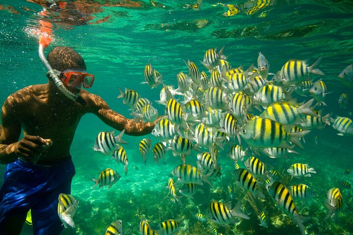 Negril Seven Miles Beach, Snorkeling, Boat Ride, Ricks Cafe Combo - Image 5