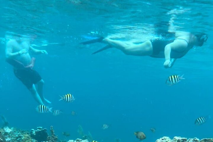 Negril Tour with water Activities from Montego Bay Jamaica - Image 2