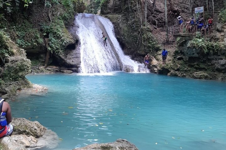 Ocho Rios Highlight with Blue Hole or Dunns River Falls from Montego Bay  - Image 2