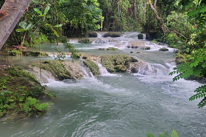 Ocho Rios Highlight with Blue Hole or Dunns River Falls from Montego Bay  - Image 5