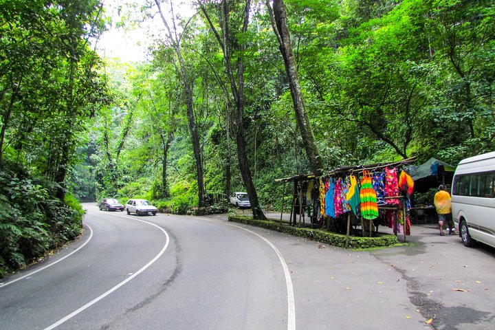 Ocho Rios Highlights, Blue Hole Secret Falls, and Jerk Stop from Falmouth - Image 5