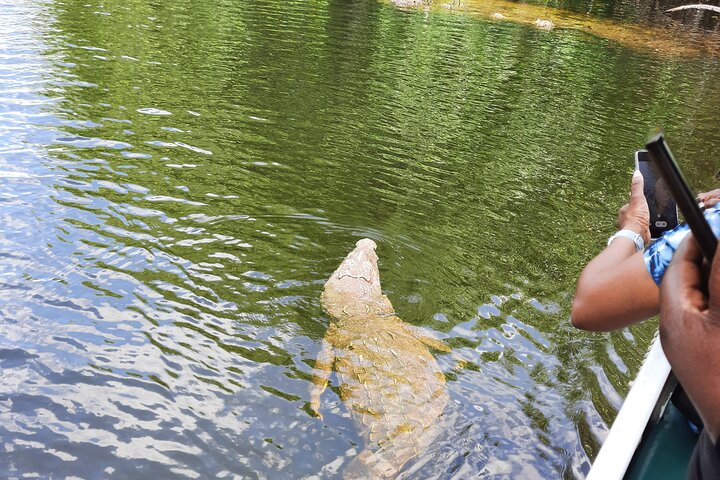 Omar's Black river Safari, YS Falls tour from montego bay  - Image 2