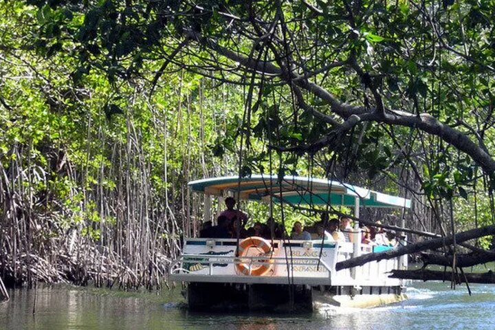 Pelican Bar and Black River Safari Combine Tour From Montego Bay - Image 2