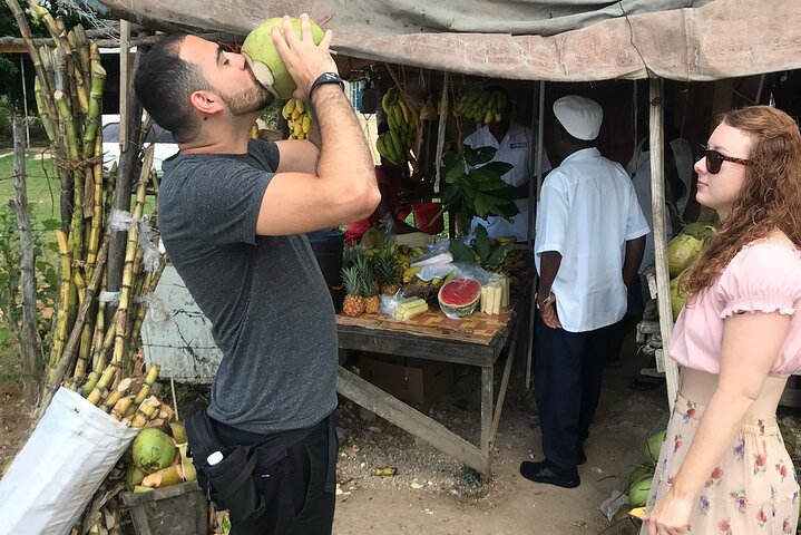 Private and Customize Highlight Tour to Montego Bay from Falmouth - Image 1