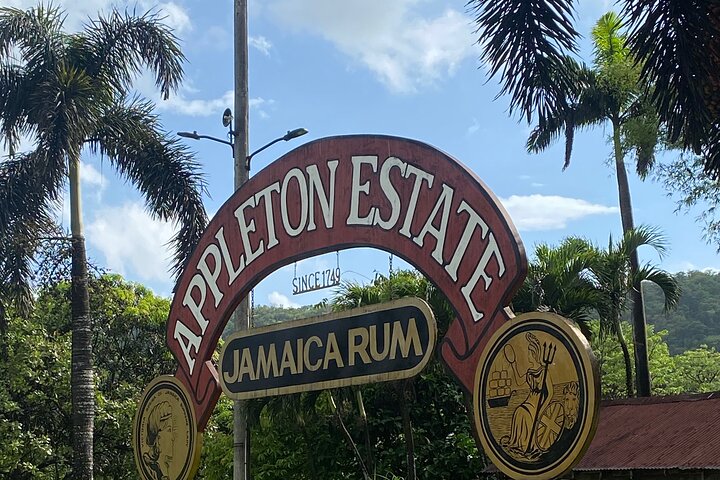 Private Appleton Estate Rum Tour with Limestone Massage, Rafting - Image 4