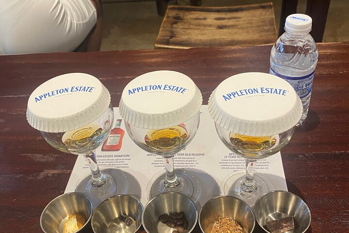 Private Appleton Estate Rum Tour with Limestone Massage, Rafting - Image 2