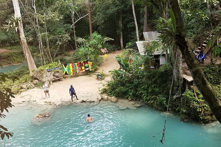 Private Blue Hole and Dunn's River Tour from Montego Bay - Image 4