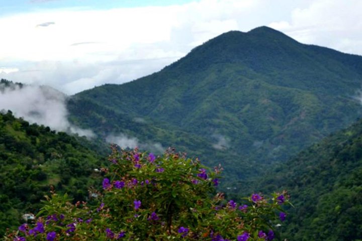 Private Blue Mountain Tour  - Image 1