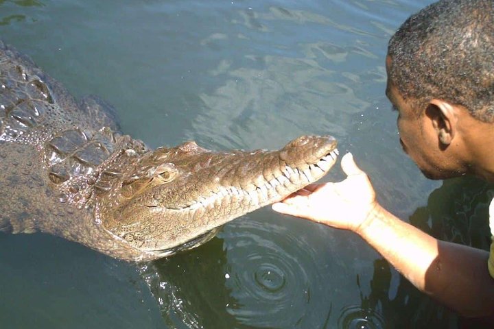 Private Customizable Waterfalls, Crocodiles, Rum Tasting, or Pelican Bar Tour - Image 3
