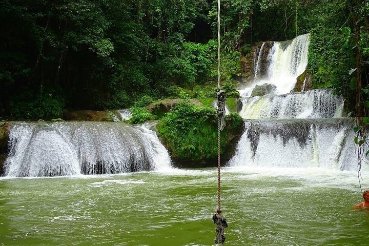 Private Customizable Waterfalls, Crocodiles, Rum Tasting, or Pelican Bar Tour - Image 4