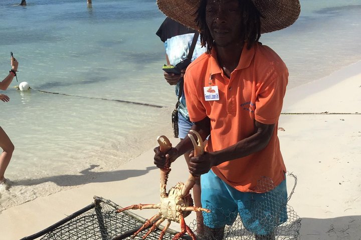 Private & Customize Tour from Montego Bay to Negril Beach & Ricks Cafe Sunset  - Image 1