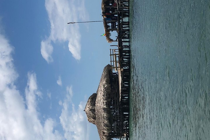 Private & Customize Tour from Montego Bay to Pelican Bar & Appleton Rum Factory  - Image 4