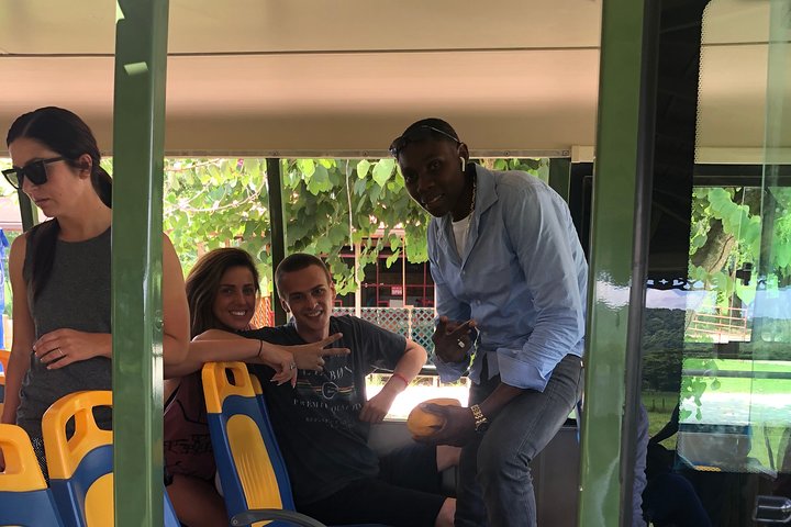 Private & Customize Tour from Montego Bay to Y S Falls - Image 2