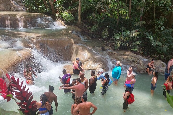 Private Day Tour To Dunn River Falls and Tubing - Image 5