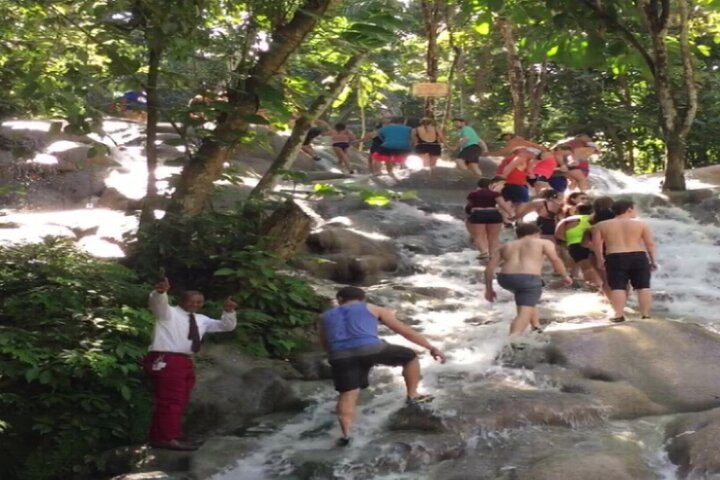 Private Day Tour To Dunn River Falls and Tubing - Image 4