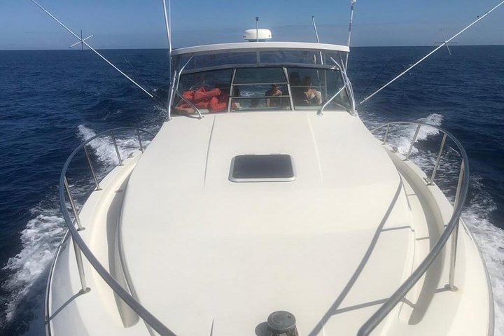 Private Double Reef Snorkel Tour with Optional Parasail Upgrade - Image 3