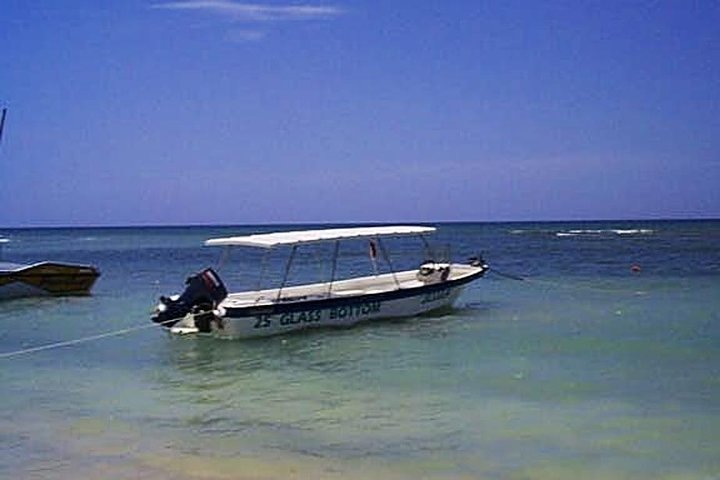 Private Double Reef Snorkel Tour with Optional Parasail Upgrade - Image 4