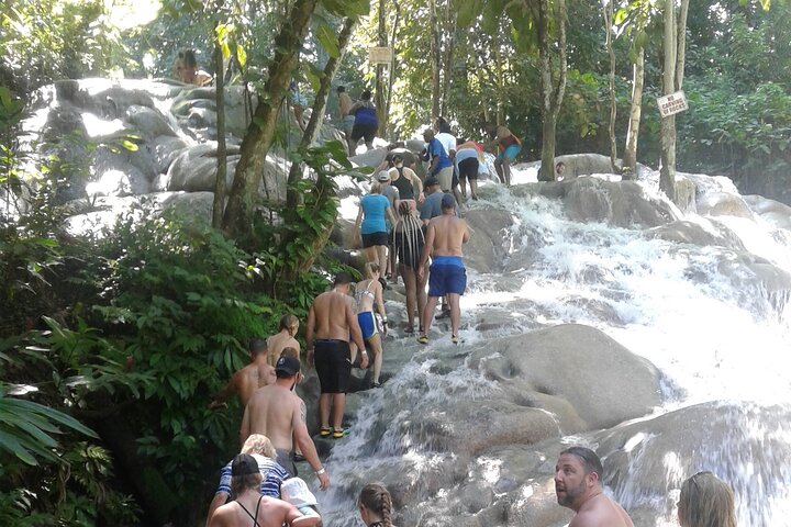 Private Dunns River Blue Hole and Tubing Tour from Montego Bay - Image 3