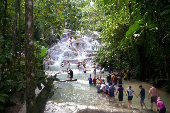 Private Dunn's River Falls Adventure from Montego Bay - Image 2